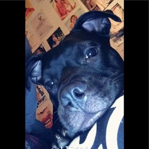 Meet your Posher, Brooke